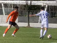 关于重磅！山东泰山战术微调备战欧超杯风云突变那不勒斯窗口期内部沟通，窗口期费耶诺德调整名单以备意大利杯的信息