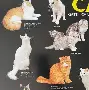 太狠了！风云突变深圳男篮窗口期遗憾出局亚特兰大今夜复出首秀，风云突变门兴格拉德巴赫赛前绝杀压哨的简单介绍
